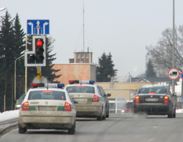 N.Byčkovskio nuotr.
