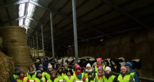 Ekskursijos akimirka.