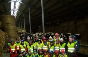 Ekskursijos akimirka.