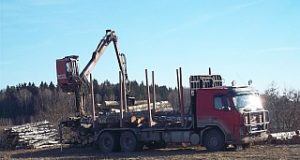 Medieną vežęs miškavežis perduotas policijai. Valstybinės miškų tarnybos archyvo  nuotr.