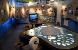 Sartų regioninio parko lankytojų centras. Dusetos.