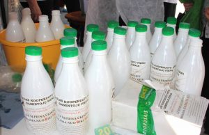 Europarlamentarai ragina ryžtingiau spręsti pieno kainų krizę