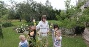 Aleksandravėlėje jau tapo tradicija prieš Mindaugo karūnavimo dieną kiemus puošti išradingomis lauko gėlių puokštėmis.