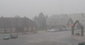 D. Zibolienės nuotr.