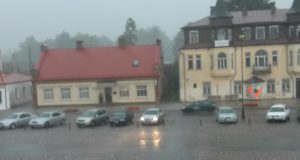 D. Zibolienienės nuotr.