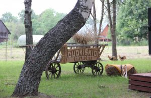 Duokiškyje - tradicinė baladžių šventė. A.Minkevičienės nuotr.