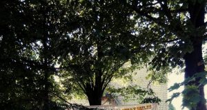 Organizatorių nuotr.