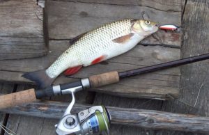 Valstybės dieną leidžiama žvejoti nemokamai. 15 min. nuotr. j