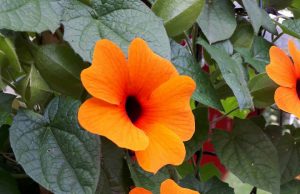 Dienos sentencija Jolitos Nakienės nuotr.