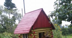 Močiutės Janinos sodo pelargonijos. Evelinos Šeškutės nuotr.