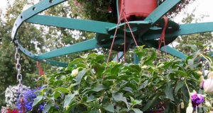 Jolitos Nakienės nuotr.