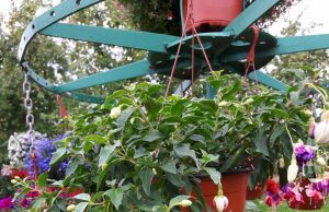 Jolitos Nakienės nuotr.