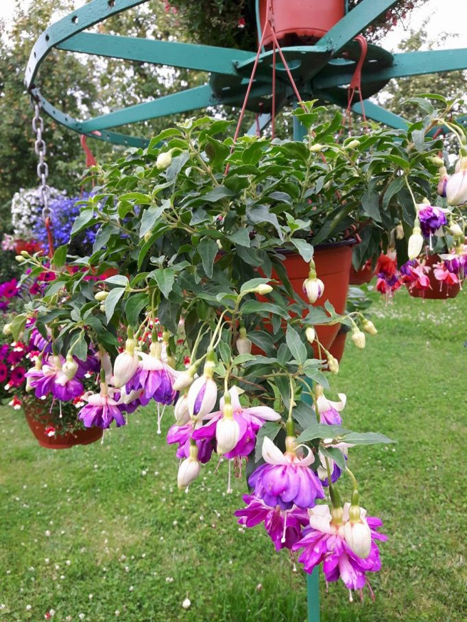 Jolitos Nakienės nuotr. Jolitos Nakienės nuotr.