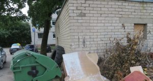 A. Mackuvienės nuotr.