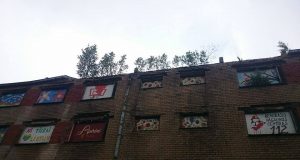 Juodupės „pentagono“ stogą ir langus užkariauja berželiai. N. Kraliko nuotr.