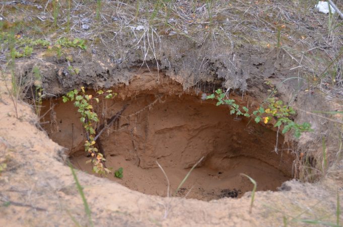 A. Minkevičienės nuotr.