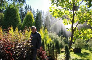 Medelyno vadovas Romualdas Petronaitis. A.Minkevičienės nuotr.