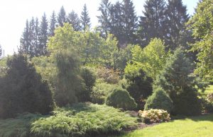 A. Minkevičienės nuotr.