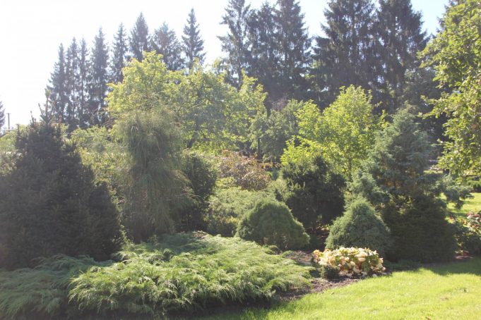 A. Minkevičienės nuotr.