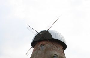 L. Dūdaitės nuotr.