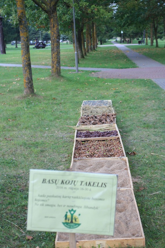 Takelį sukūrė Rokiškio veiklių mamų klubas. L. Dūdaitės nuotr.