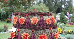 Šių metų šventės naujovė – tortai iš žiedų. N. Šulcienės nuotr.