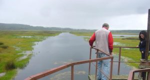 Beičių tvenkiniai – neišsprendžiamas rebusas. Panevėžio RAAD nuotr.