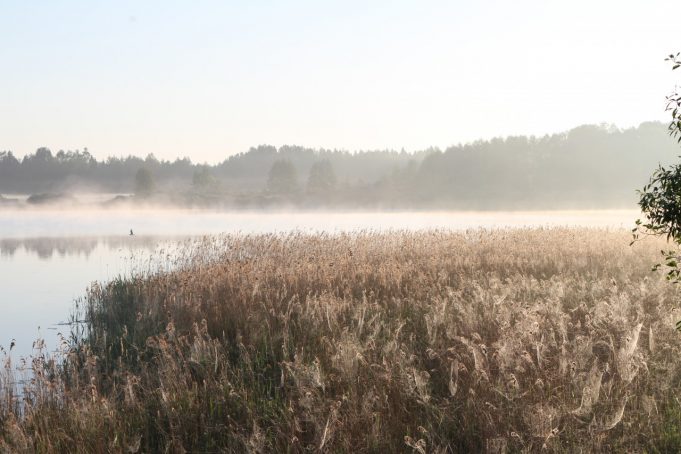 Rūkas. Benjamino Sakalausko nuotr. 