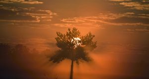 Virginijaus Stumbrio nuotr.