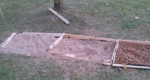 Vandalai išardė Rokiškio mamų klubo kūrinį – sveikatingumo takelį. L. Dūdaitės nuotr.