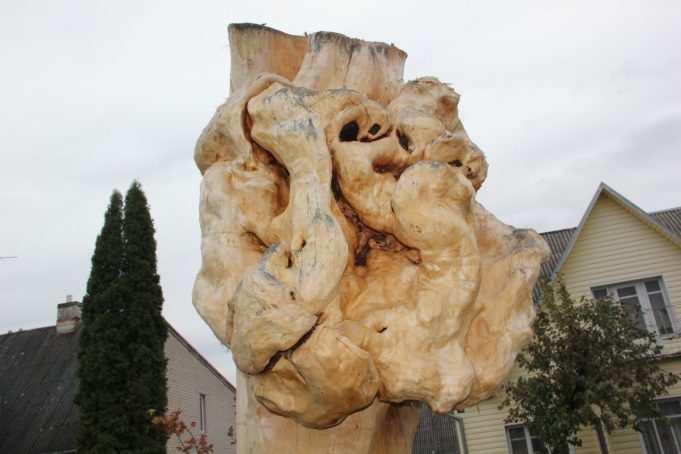 Putinų skersgatvio puošmena – beržas su kerpėmis. D. Zibolienės nuotr. Putinų skersgatvio puošmena – beržas su kerpėmis. D. Zibolienės nuotr.