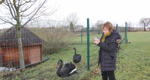 Šeštadienį mažylį išgelbėjo Vaiva. A.Minkevičiienės nuotr.