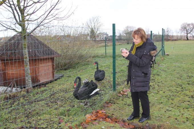Šeštadienį mažylį išgelbėjo Vaiva. A.Minkevičiienės nuotr.