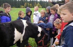 Panemunėlio pagrindinės mokyklos pradinukai Birutės Kairienės ūkyje rudens gėrybėmis lepino mažąjį arkliuką – poni. Panemunėlio pagrindinės mokyklos archyvo nuotr.