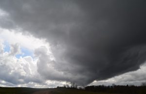 Ateinančių dienų orai - niūrūs, lietingi ir vėjuoti. A.Minkevičienės nuotr.