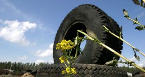 Vasarines padangas būtina pakeisti iki lapkričio 10 d. AM nuotr.