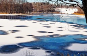 Dienos sentencija A. Minkevičienės nuotr.