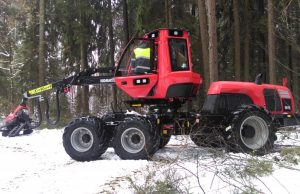 Naujoji medkirtė Rokiškio girininkijos miške.