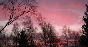 Purpurinis šeštadienio saulėtekis Rokiškyje.A.Minkevičienės nuotr.