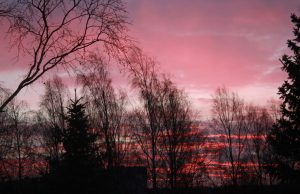 Purpurinis šeštadienio saulėtekis Rokiškyje.A.Minkevičienės nuotr.