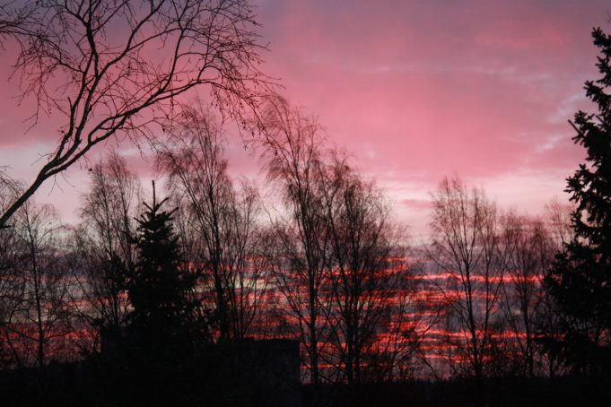Purpurinis šeštadienio saulėtekis Rokiškyje.A.Minkevičienės nuotr.