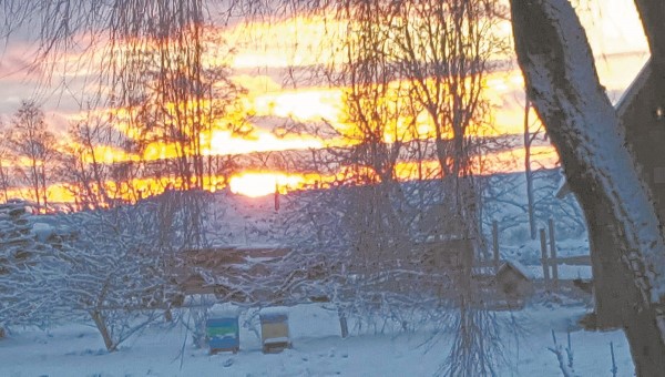 15857220_1830930263852530_450419890_o (Custom)