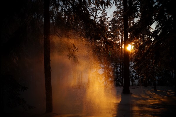 Aurimas Roščinas (Custom)