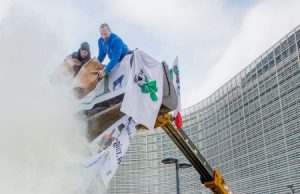 Briuselį skandino pieno miltuose