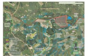 Juodymo pelkės turtai: kas svarbiau – verslas ar pelėda?