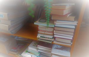 Šiandien knygos ,,Žiobiškio vėjas“ pristatymas !!!