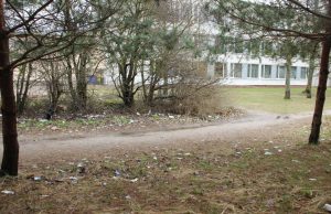 Kiaulių taku...Balandžio 13 d. vaizdelis.R.Kilkaus nuotr.