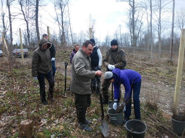 nuotr. miškasodžiui (Custom)