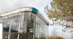 Plaukiiojantys galės akis ganyti parko pušyne. A.Minkevičienės nuotr.