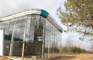 Plaukiiojantys galės akis ganyti parko pušyne. A.Minkevičienės nuotr.